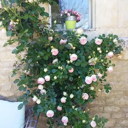La Grange De Bed & Breakfast